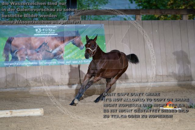 s_K3F04686.JPG